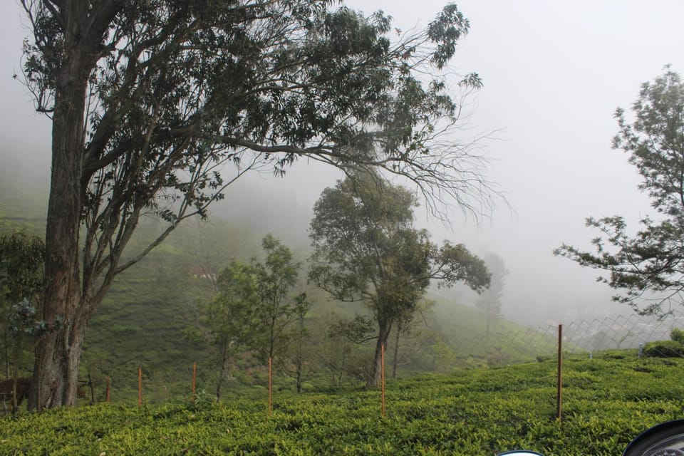 Nest Valley Hill View Vacation rental in Tamil Nadu