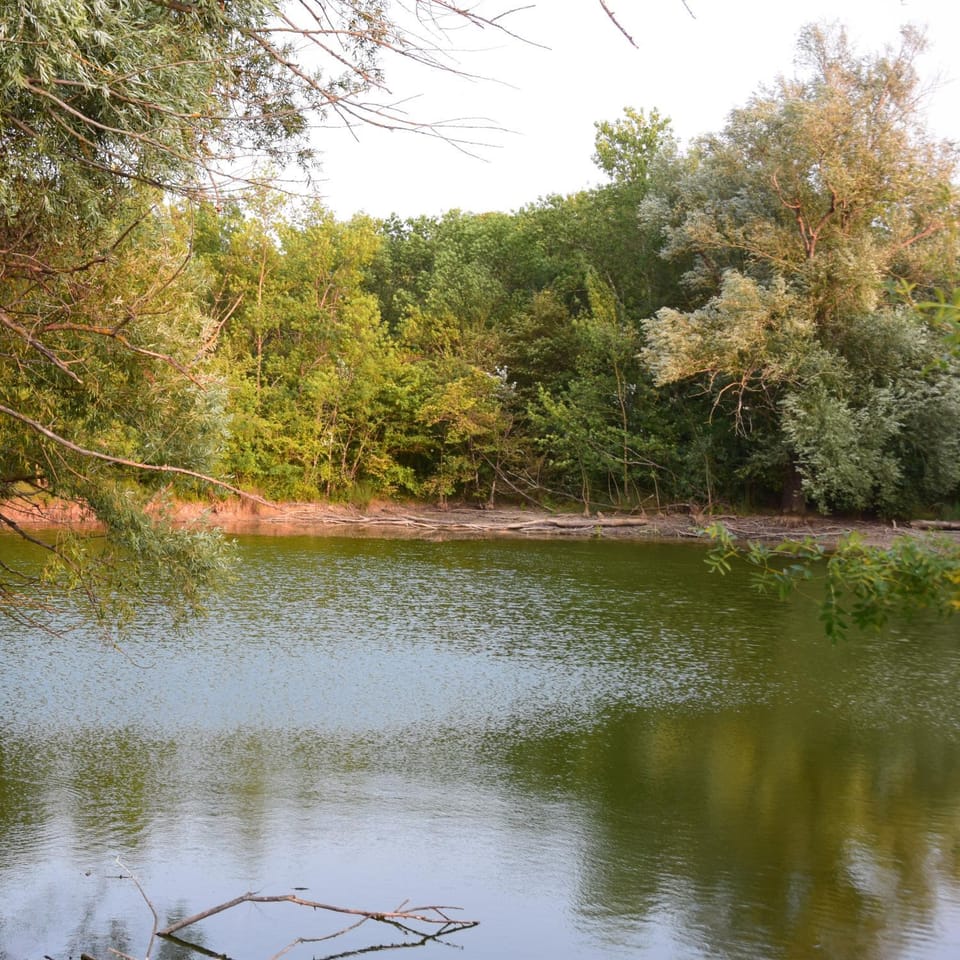 Natural landscape