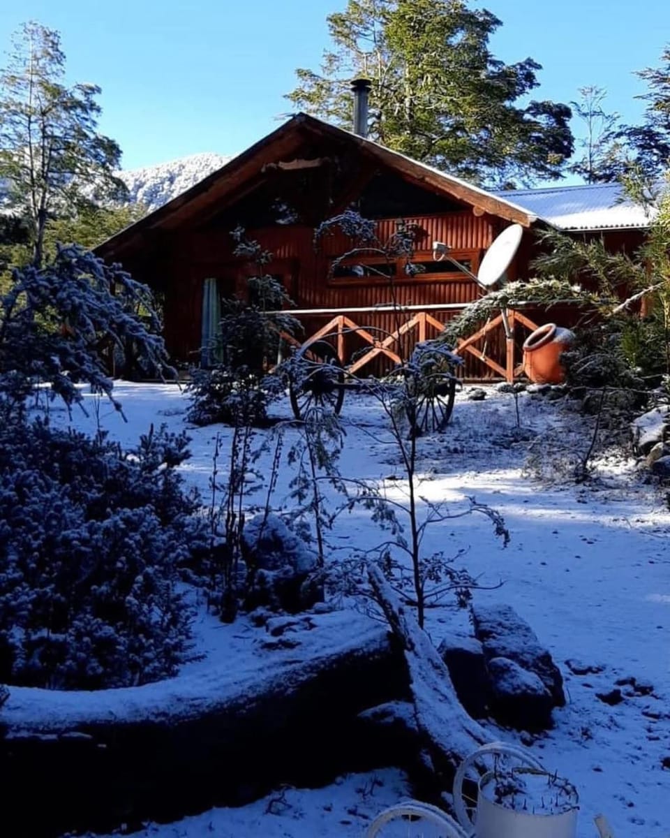 Cabañas mountain native forest Apartment in Pucon
