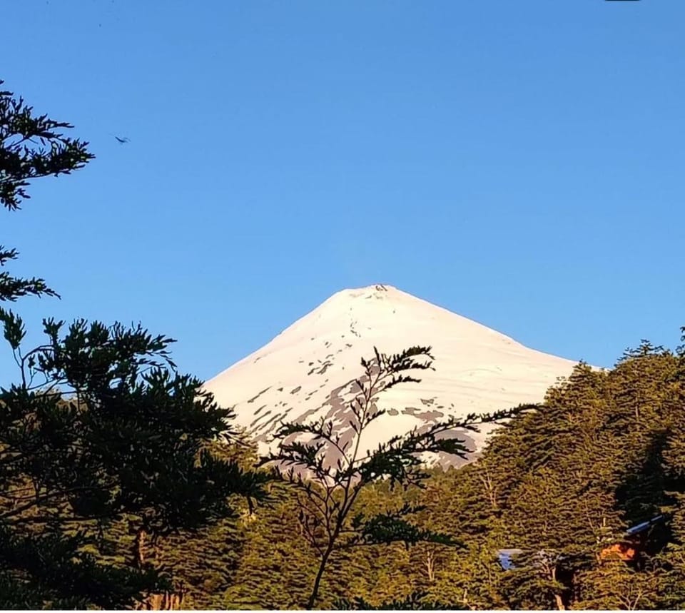 Cabañas mountain native forest Apartment in Pucon