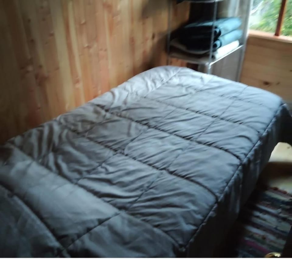 Cabañas mountain native forest Apartment in Pucon