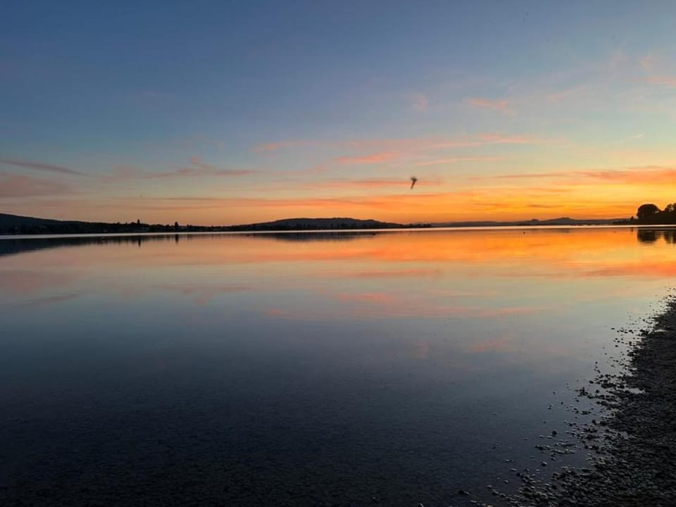 3 Bedroom Loft mit Seeblick und Terasse Apartment in Konstanz