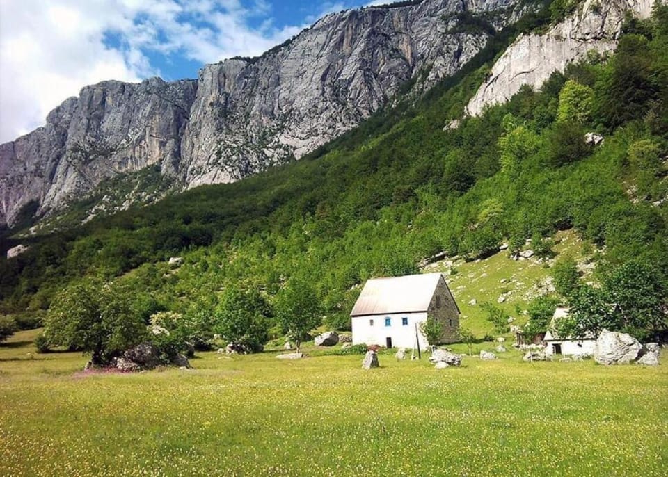 The Nest Komarnica - Handmade Mountain Domes Nature lodge in Montenegro