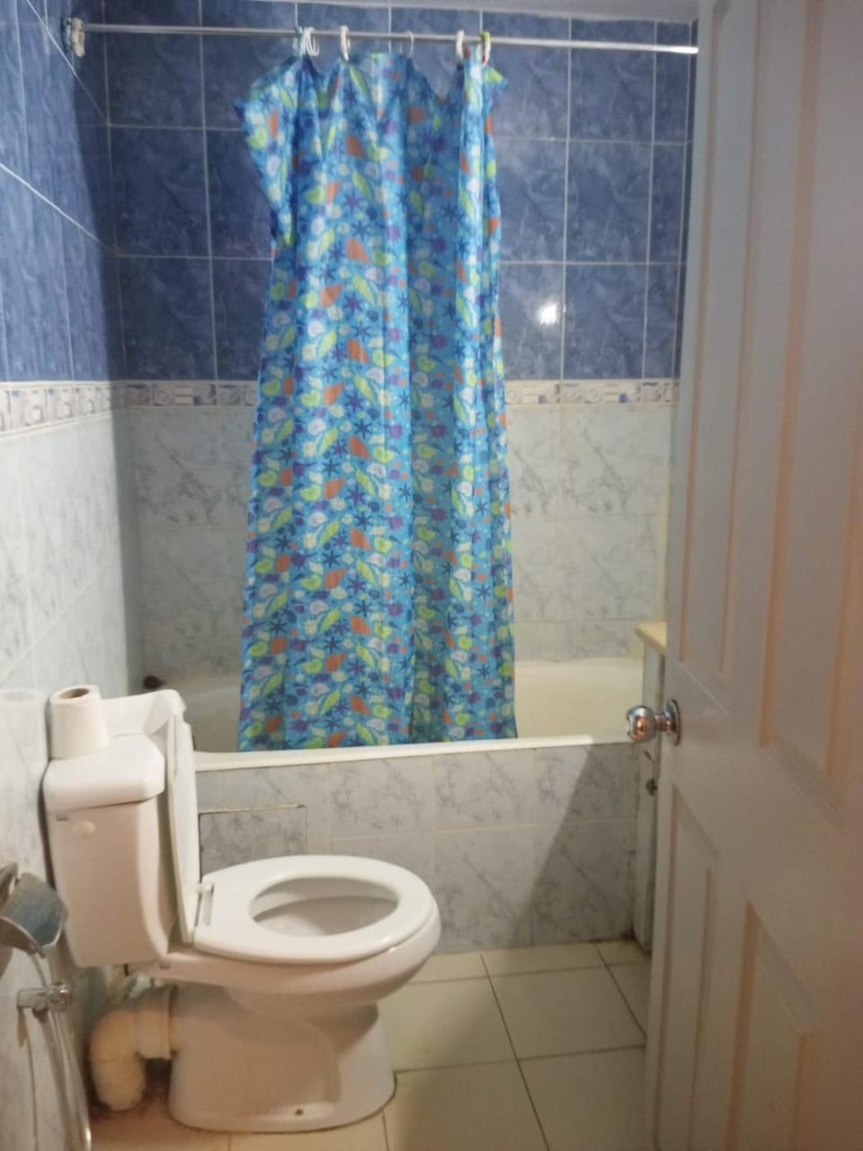 Shower, Toilet, Bathroom, Bath, bidet