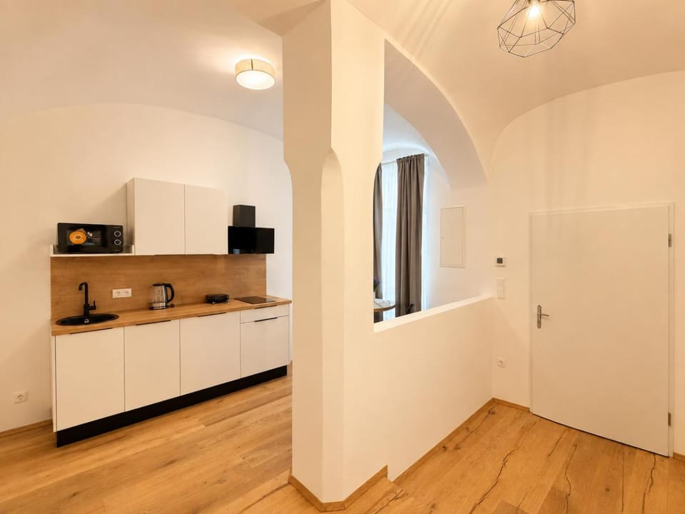 Modern Apartment in Central Viennas 7th District Apartment in Vienna