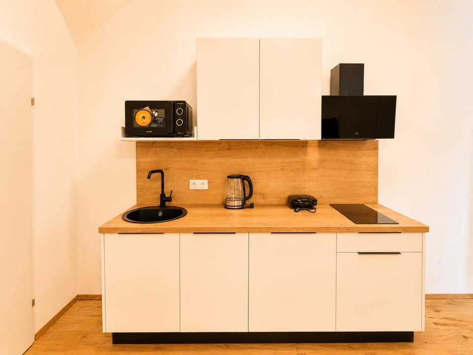 Modern Apartment in Central Viennas 7th District Apartment in Vienna