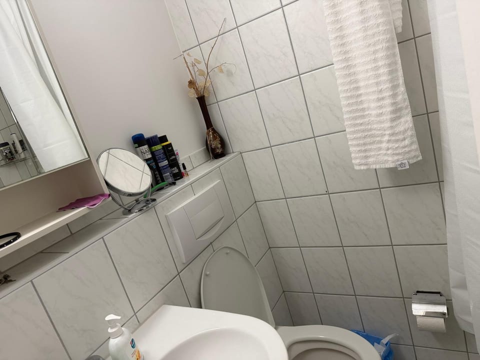 3 Rooms City Center Apartment mit Gemeinschaftsbad Vacation rental in St. Gallen