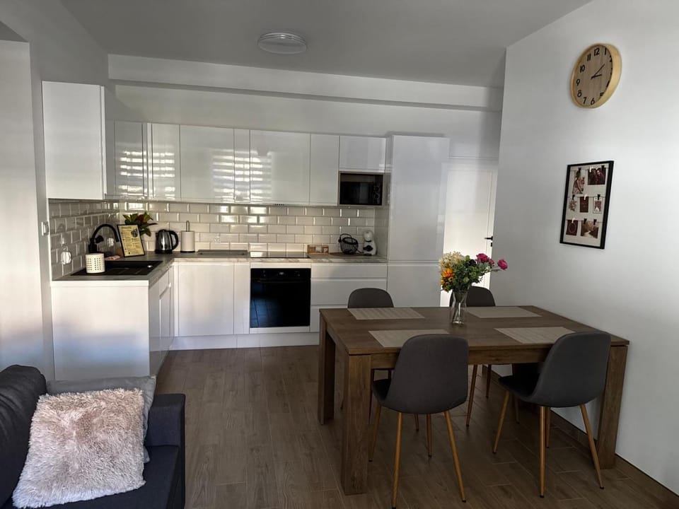 Kitchen or kitchenette, Dining area, stove