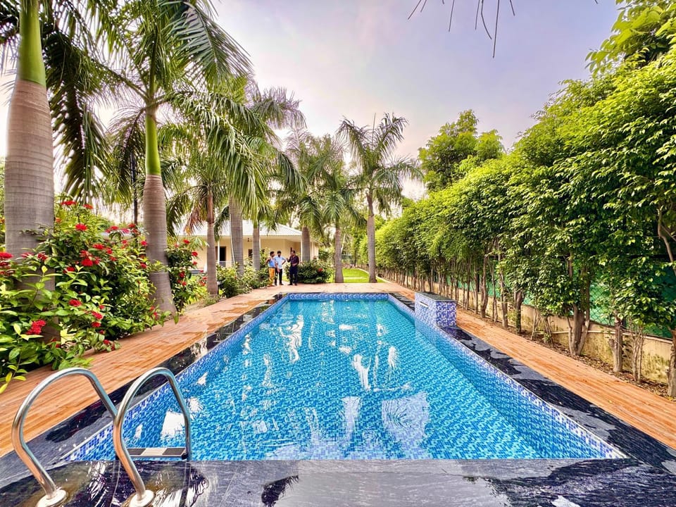 Swimming pool, Swimming pool