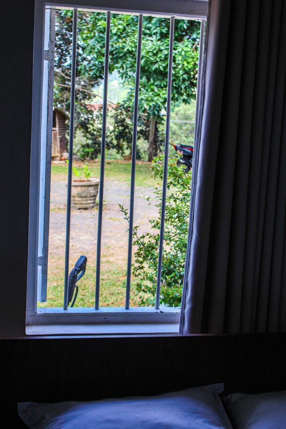 Day, Garden view