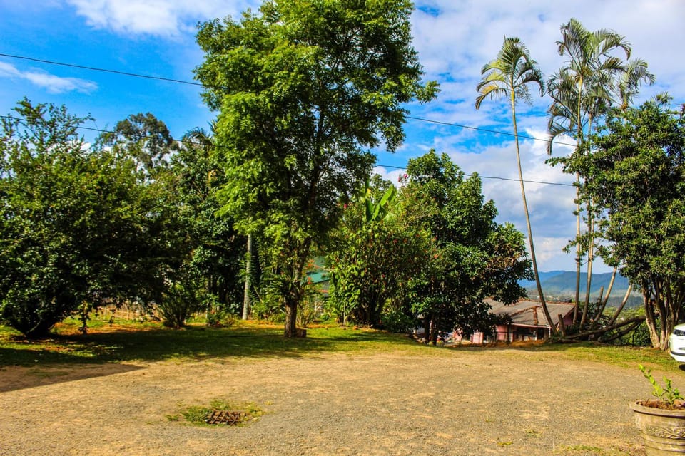 Natural landscape