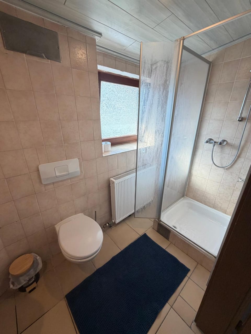 Shower, Toilet
