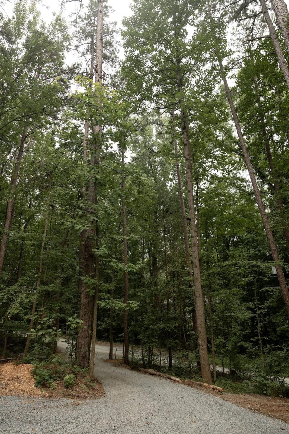 Natural landscape