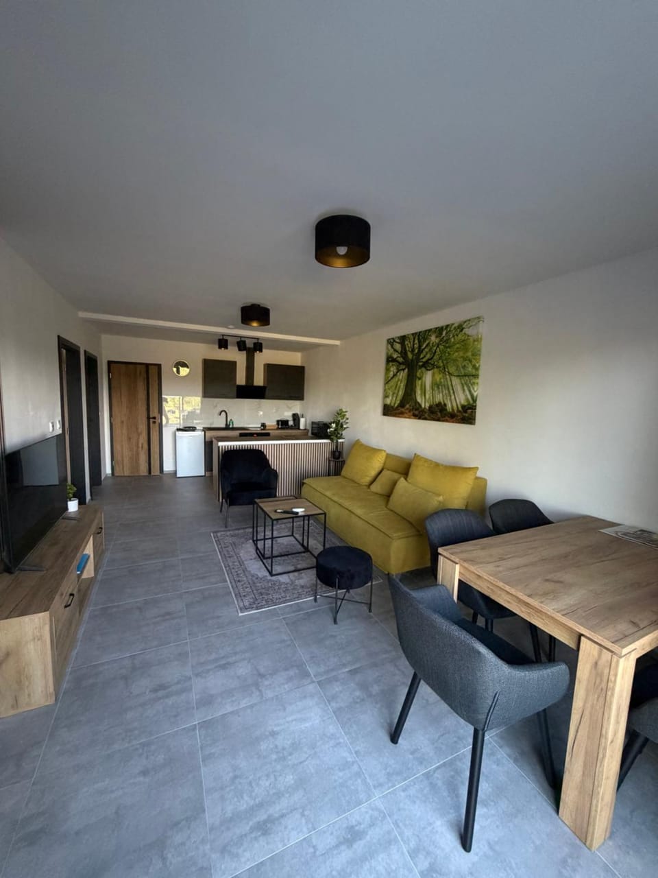 Kitchen or kitchenette, Living room, Dining area