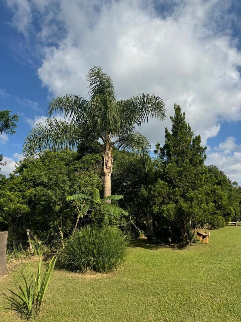 Chácara Pedra Capota Campground/ 
RV Resort in State of Paraná