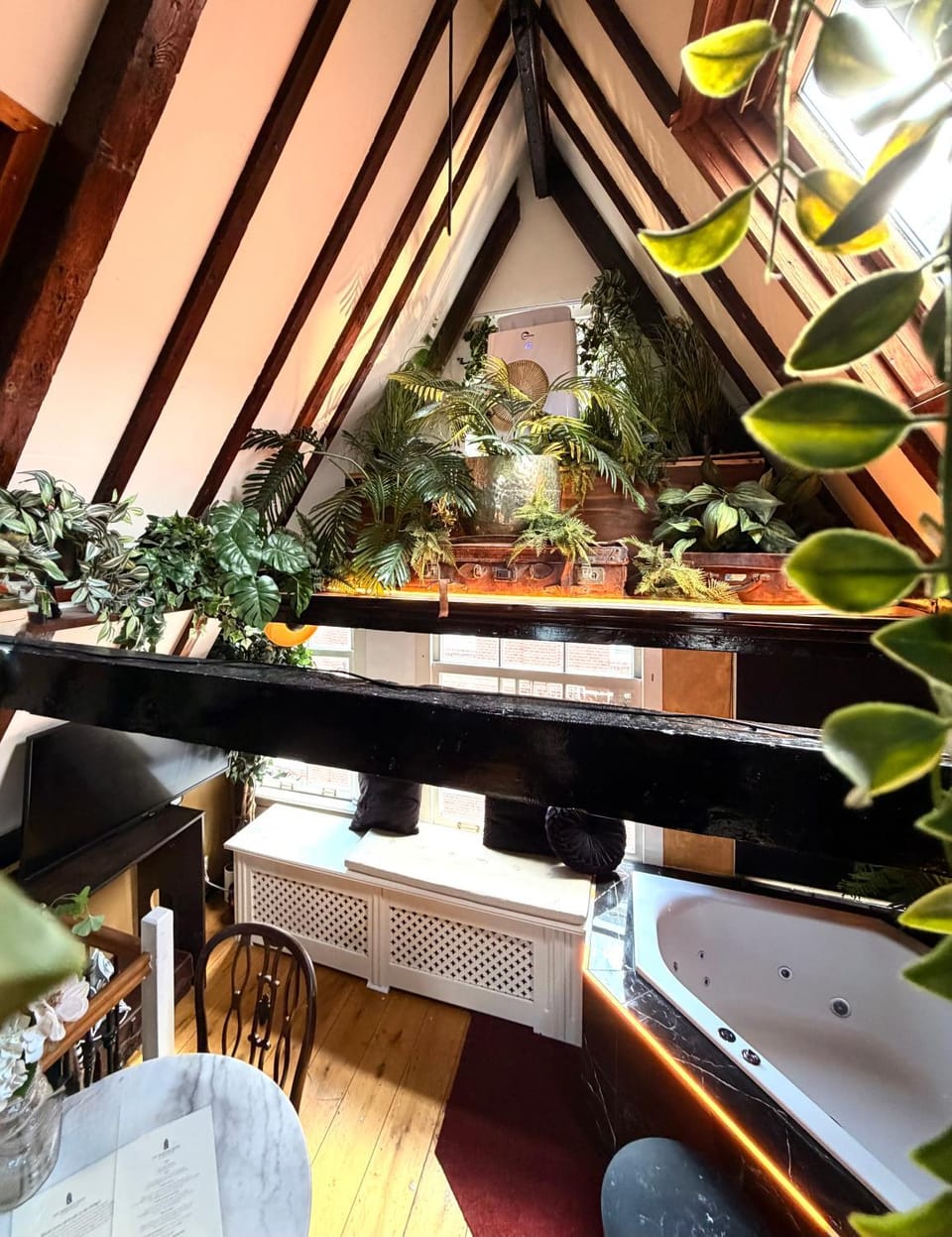 The smallest boutique aparthotel Apartment in Amsterdam