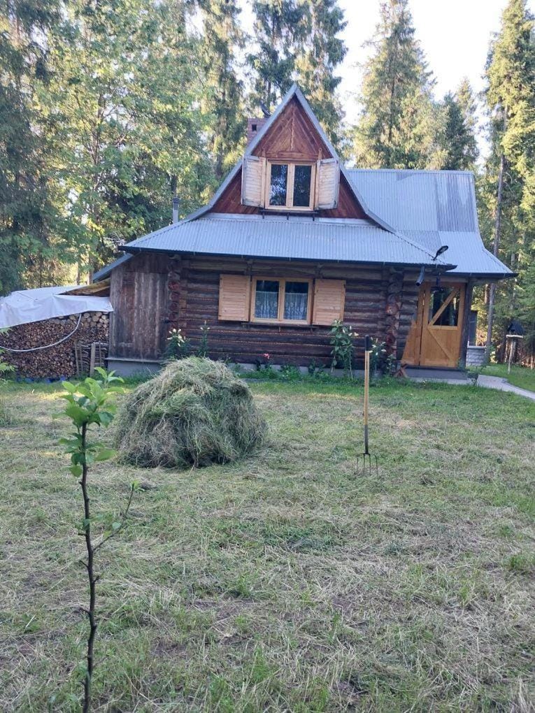 Domek Oaza House in Lesser Poland Voivodeship