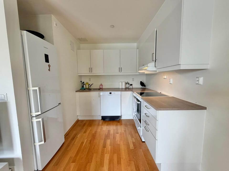 Kitchen or kitchenette, dishwasher, oven, stove