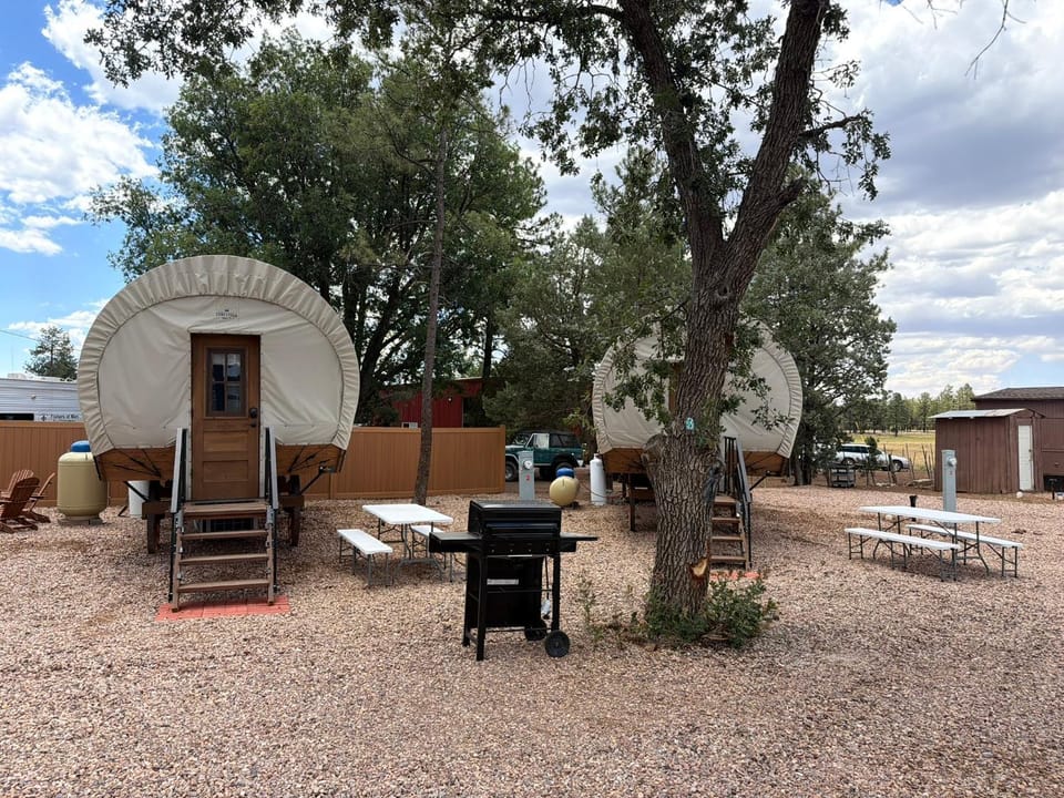 Patio, Day, Dining area