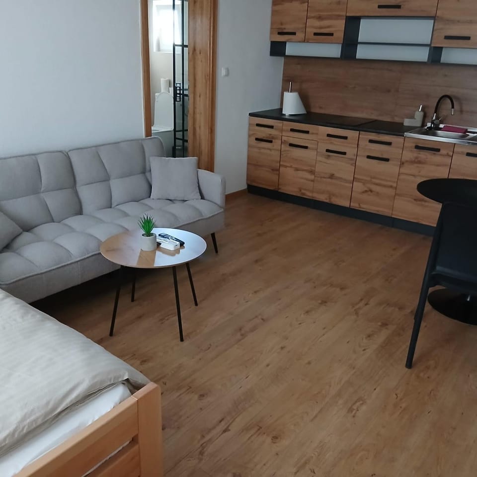 Apartmani Zela 1 Apartment in Federation of Bosnia and Herzegovina
