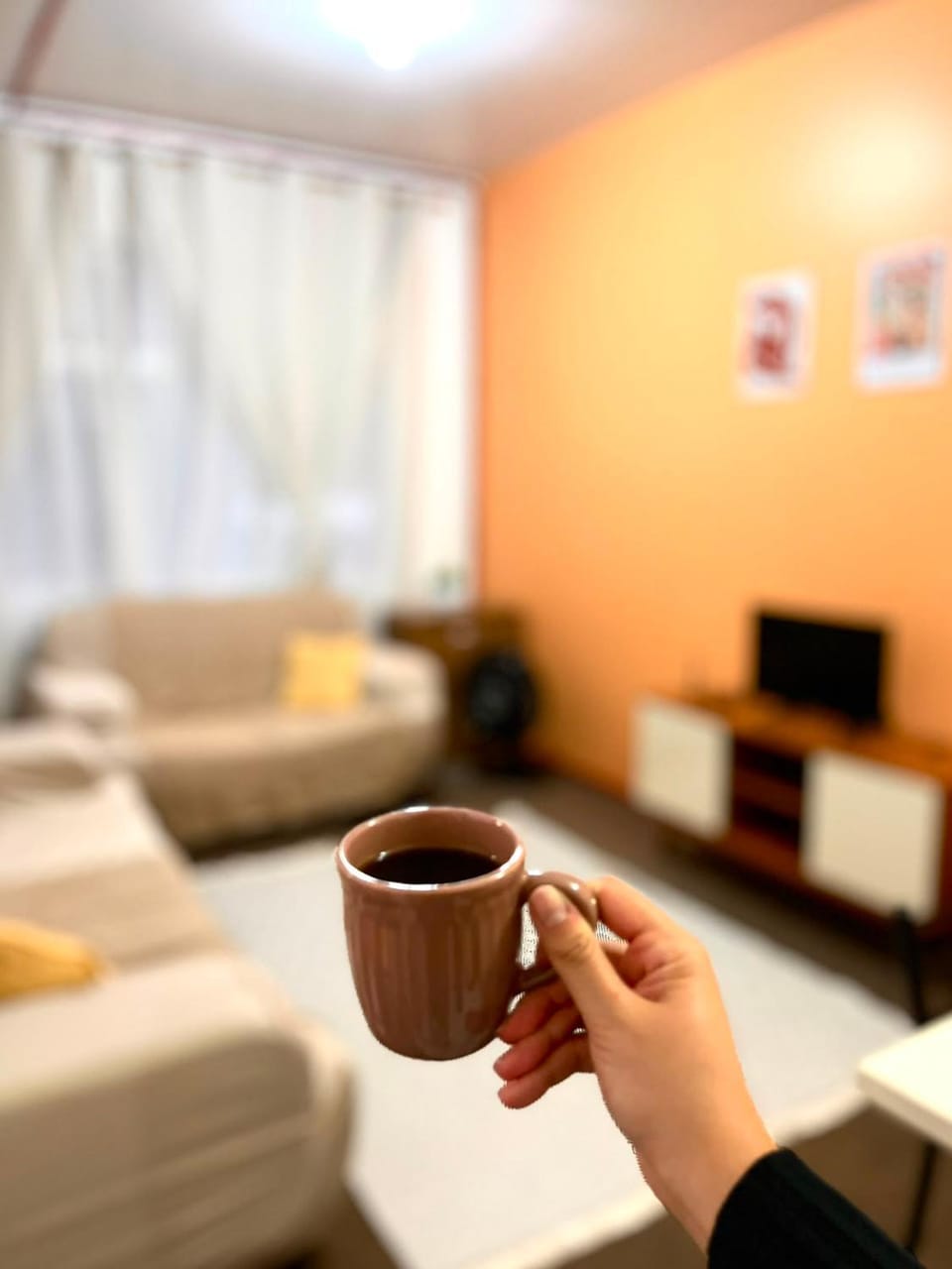 Apartamento aconchegante no centro Apartment in Pelotas