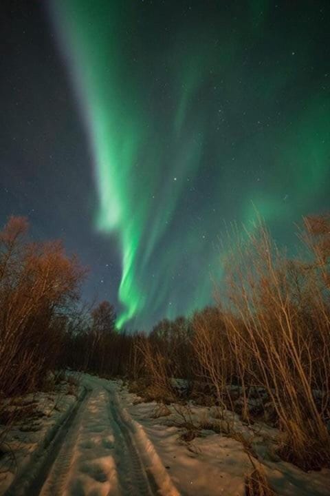 Northern light and midnight sun paradise Apartment in Troms Og Finnmark