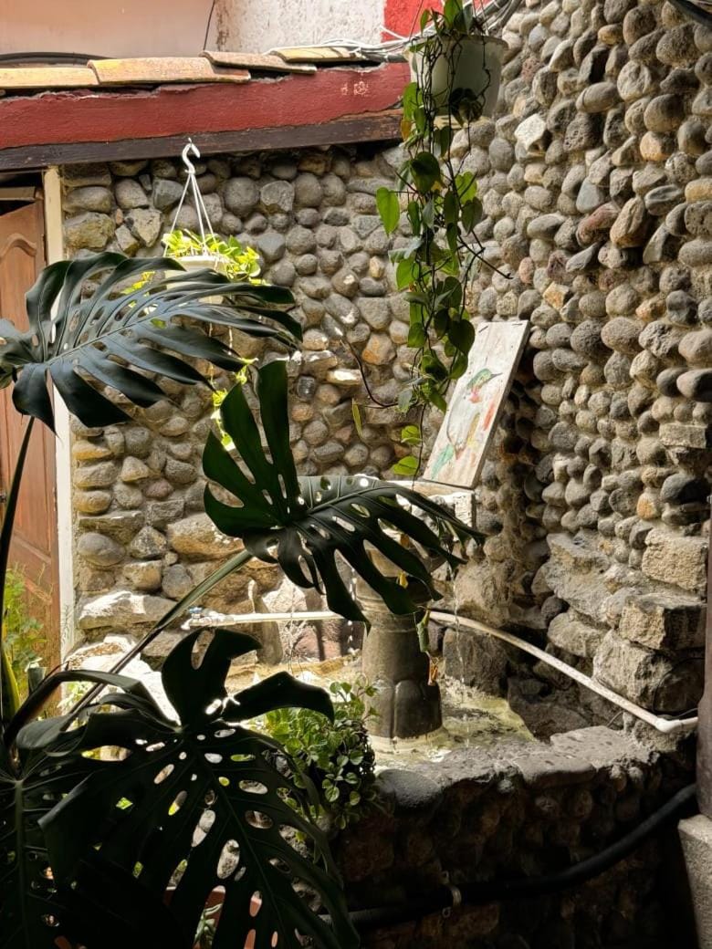 Garden, Garden view