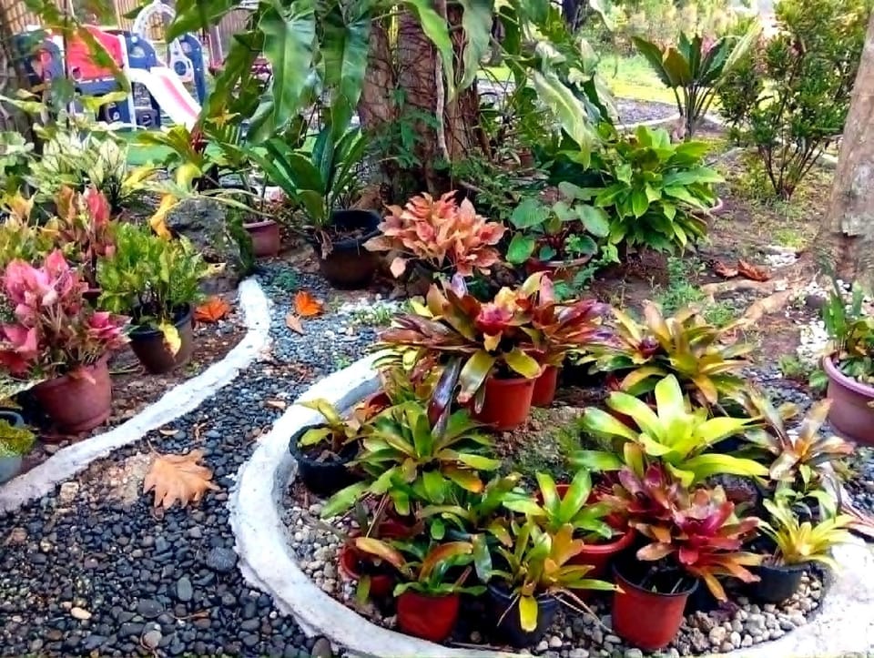 Ella Garden Resort House in Island Garden City of Samal