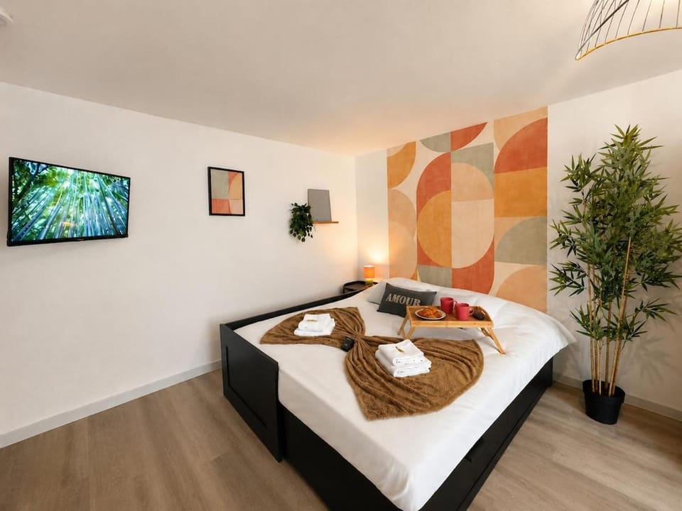 N Le Bambou Tiercelins studio cosy au centre ville Apartment in Nancy