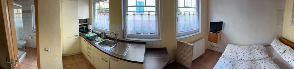 Kitchen or kitchenette, Photo of the whole room, Bedroom