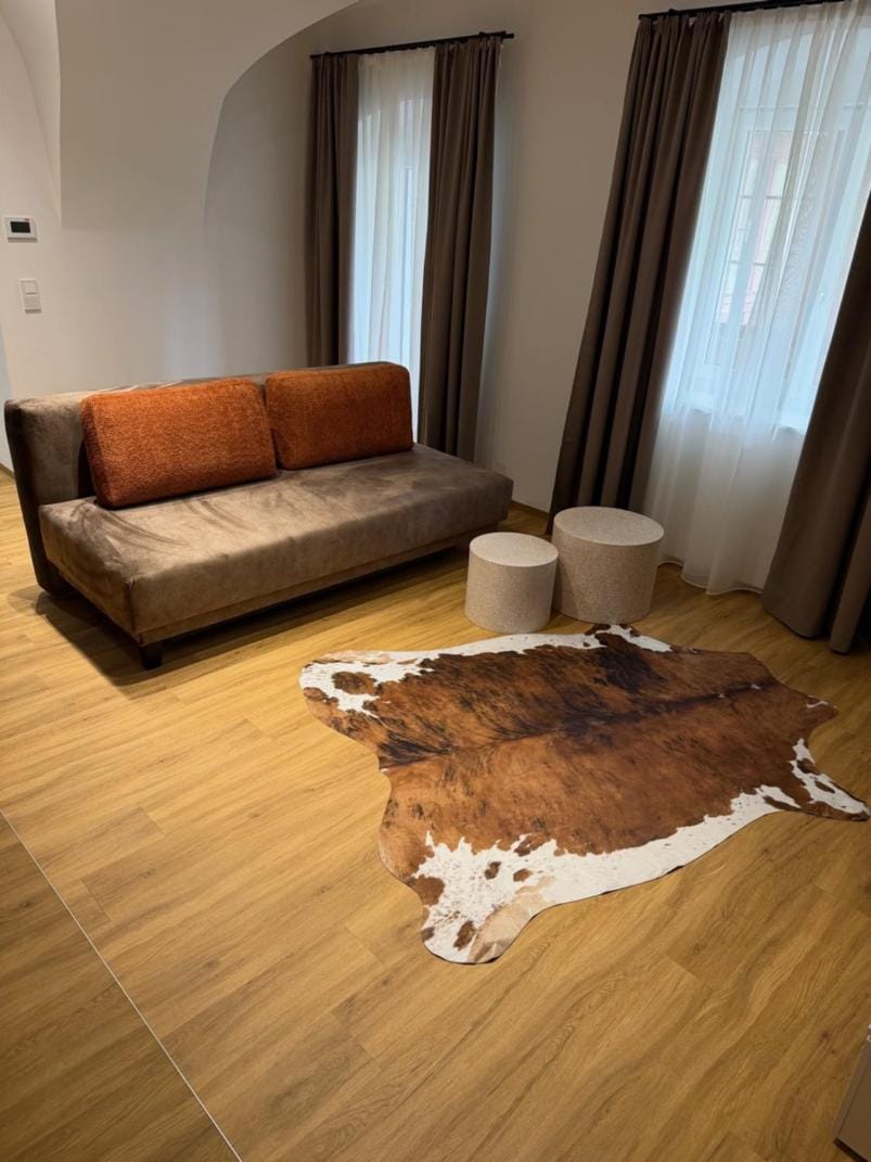 SUN LODGE Apartments Apartment in Upper Austria