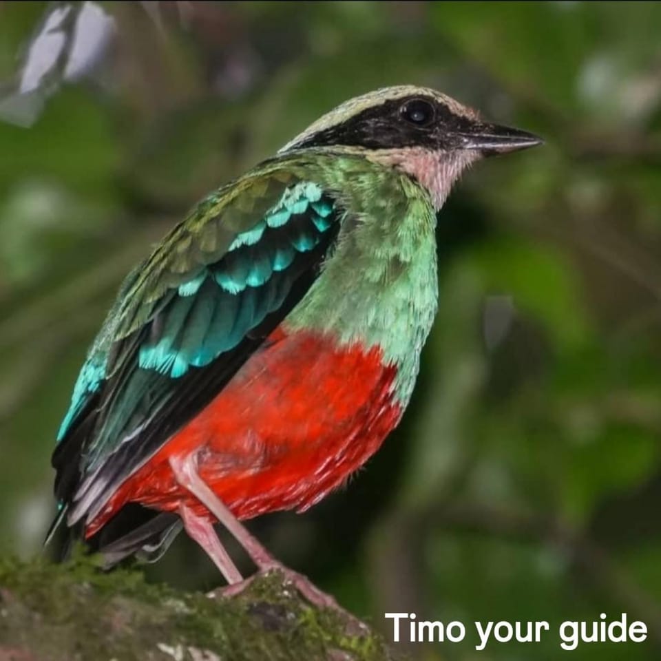 Turaco Trails Tours Campground/ 
RV Resort in Uganda