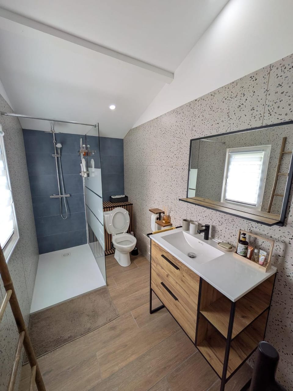 Shower, Toilet, Bathroom