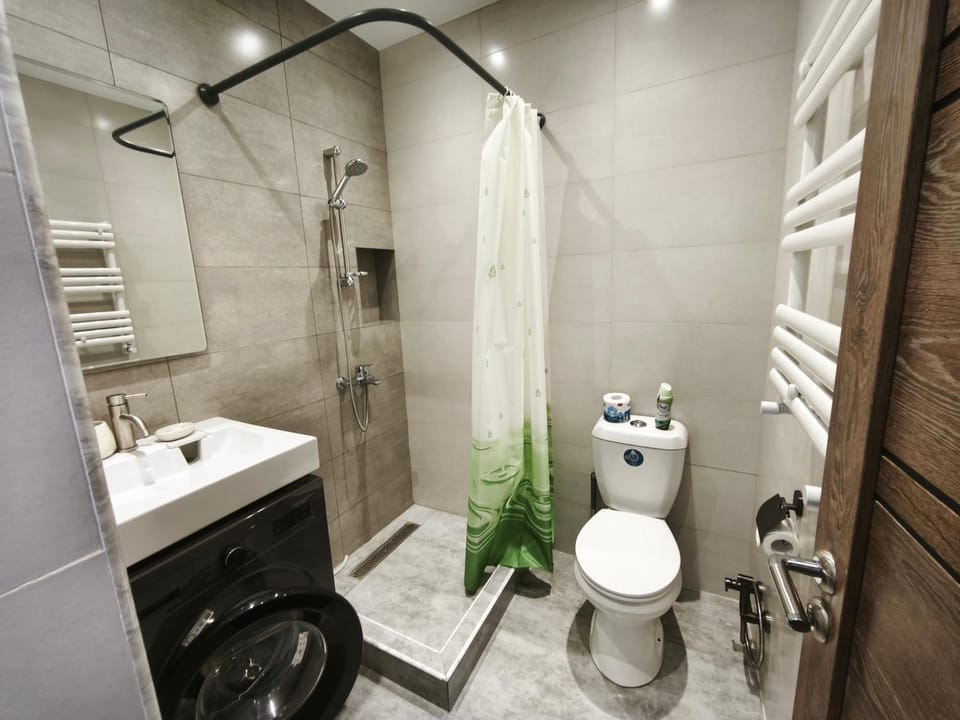 Shower, Toilet, Bathroom, washing machine