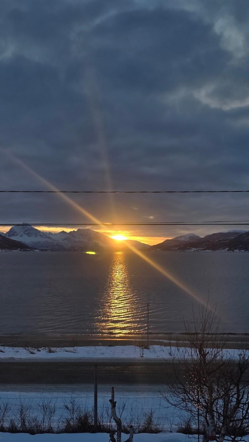 Fjordtinyhouse Chalet in Nordland, Norway