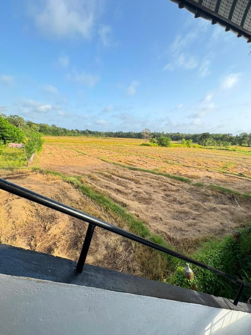 Dulmini Holiday Resort Hotel in Sri Lanka