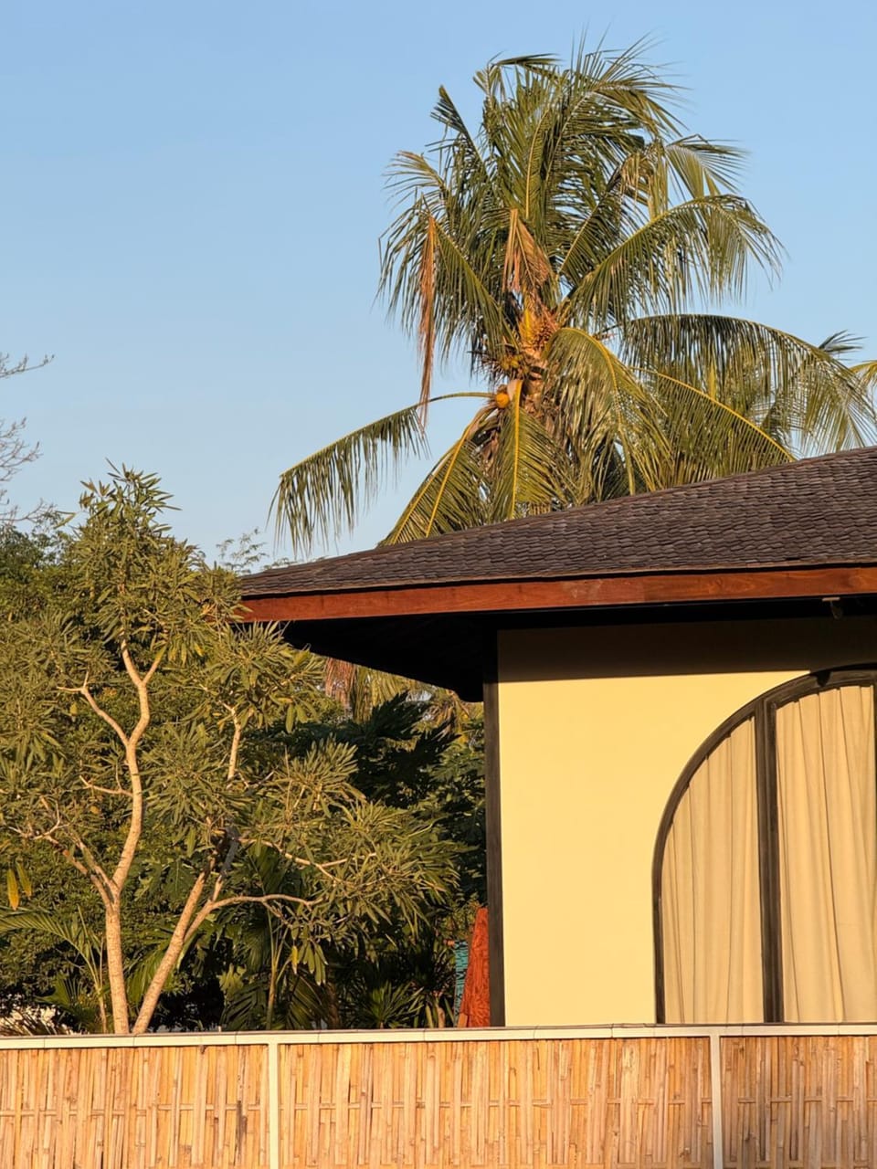 Property building, Garden view