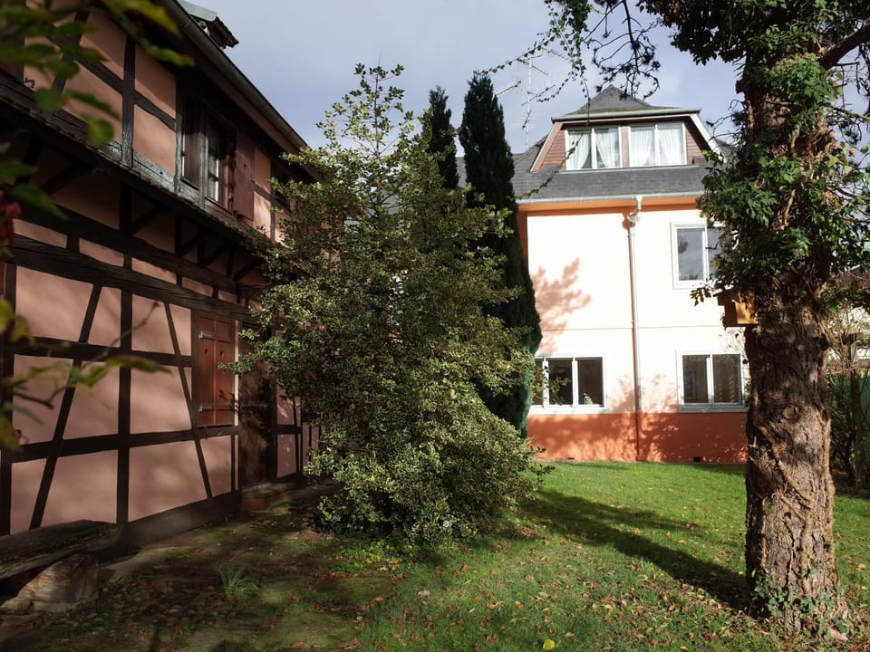 Garden, Garden view