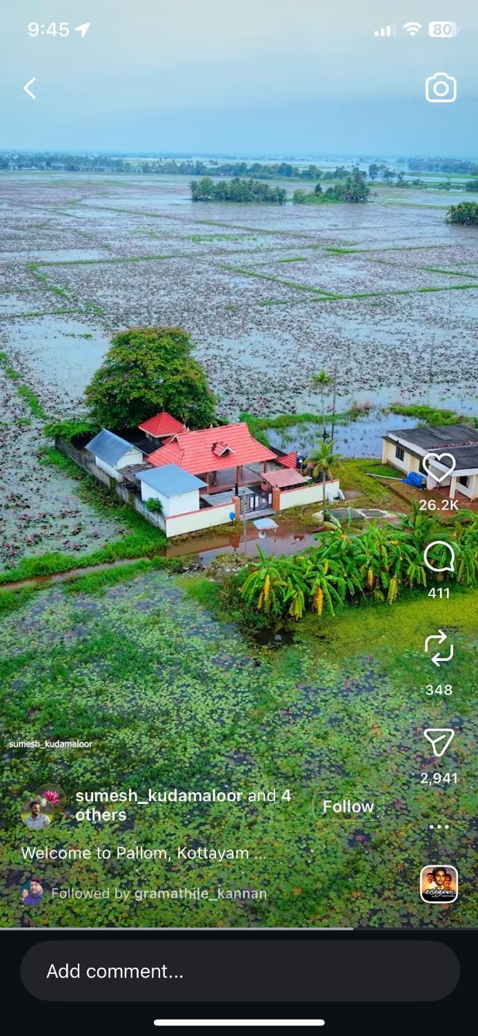 Curly Nest Homestay Apartment in Kerala