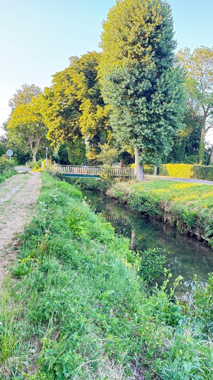Le Cottage de la Hem, charme et douceur à la campagne House in Hauts-de-France