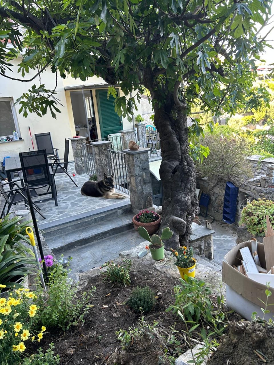 Garden, Balcony/Terrace