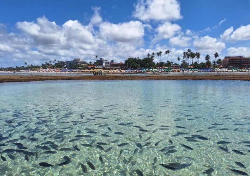 Harbor Living Porto de Galinhas - Flat 220 Apartment in Ipojuca