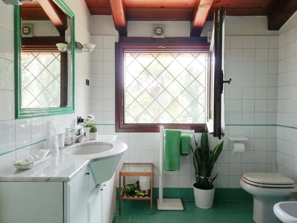 Toilet, Bathroom, Other, Other, Photo of the whole room, Decorative detail, Decorative detail