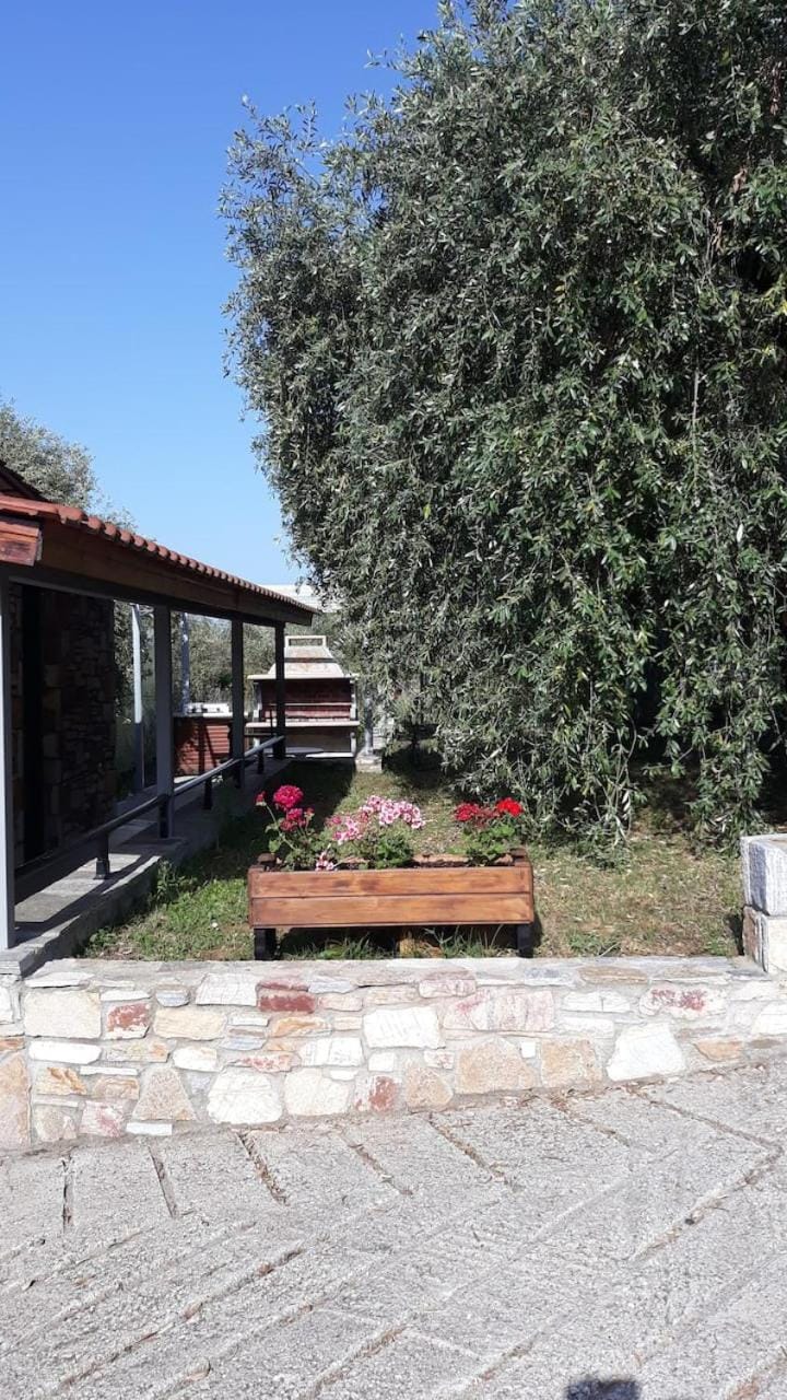 Vila Elizabeth Villa in Thasos