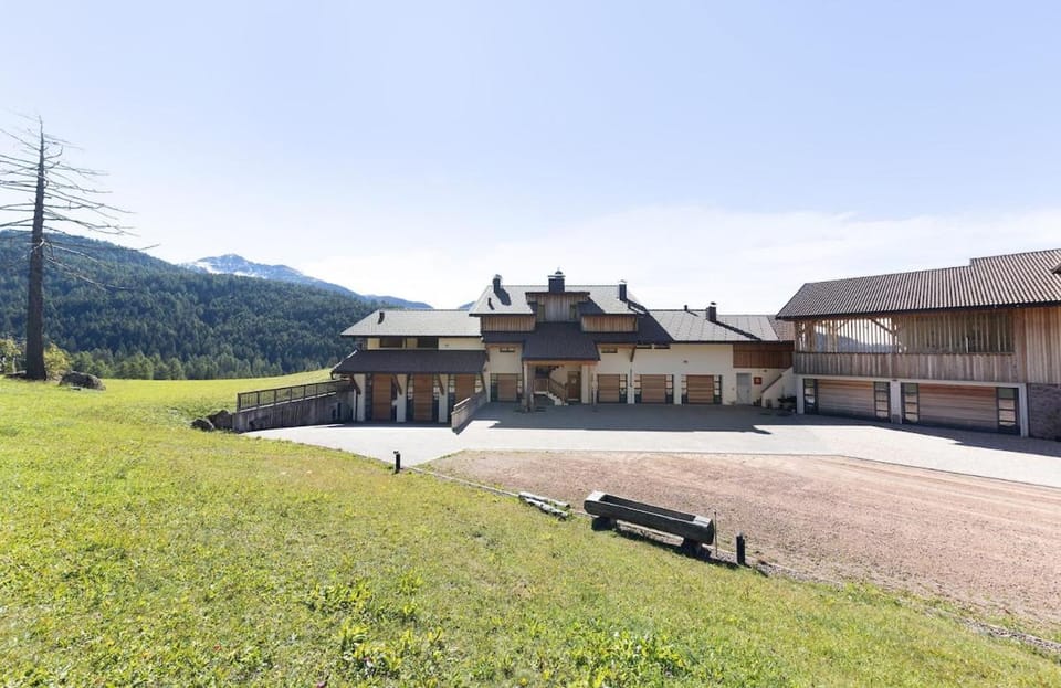 Modern Alpine Lodge Ski Storage & Sunset Terrace Apartment in Trentino-South Tyrol