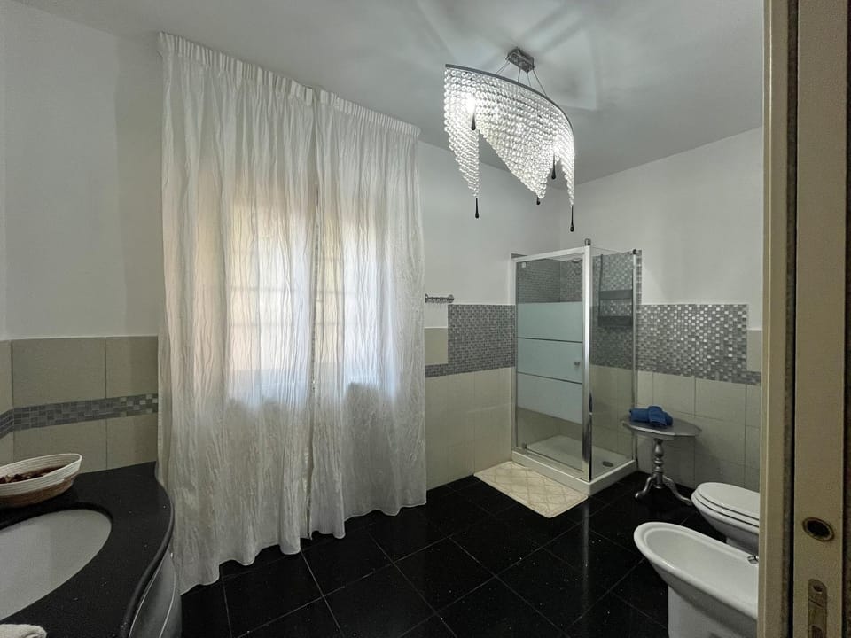 Shower, Toilet, Bathroom, bidet, towels