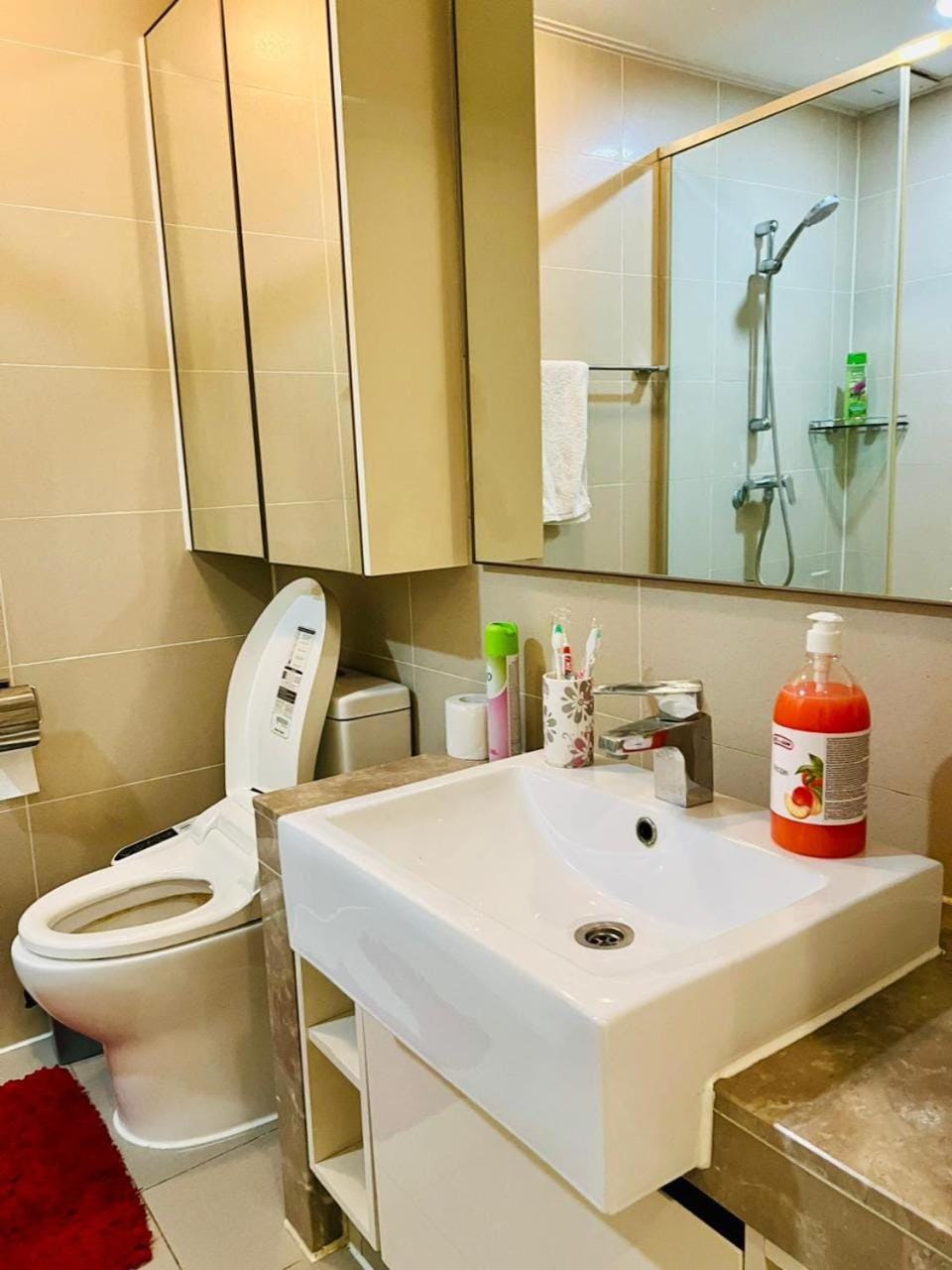 Toilet, Bathroom