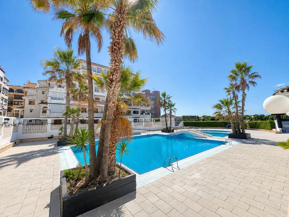 Pool view, Swimming pool, Swimming pool, sunbed
