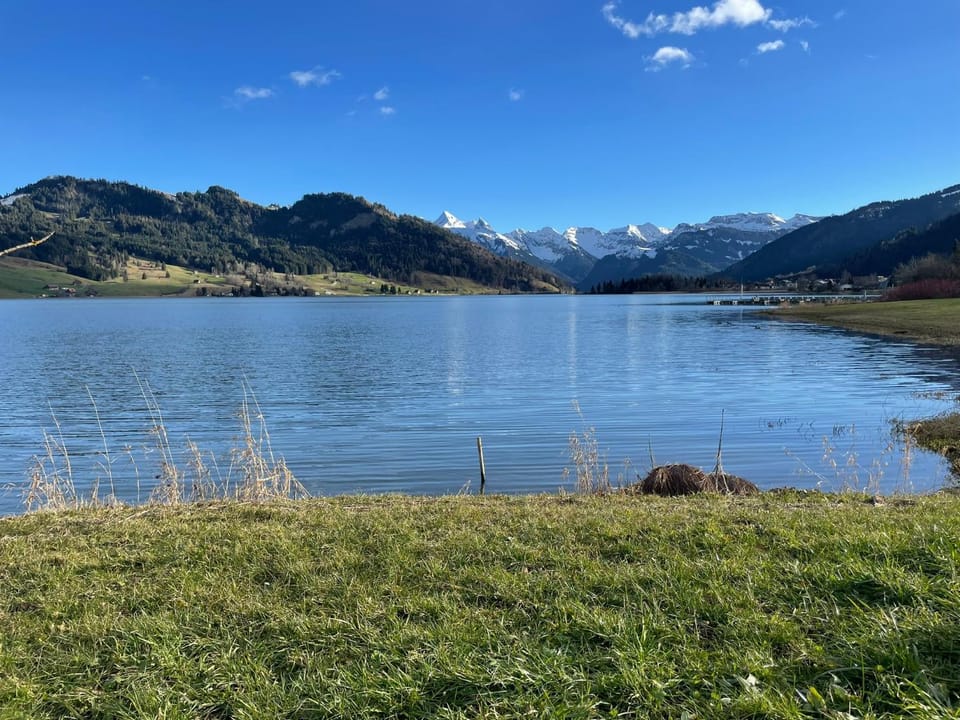 Bergblick Apartment in Switzerland