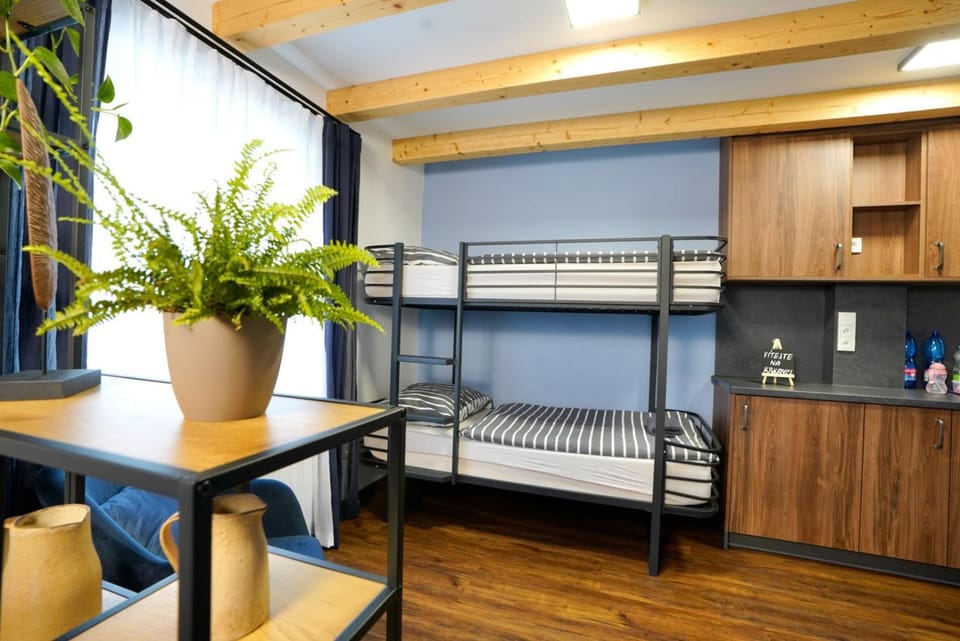 Bed, Photo of the whole room, Bedroom, bunk bed